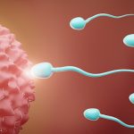 کم‌ تحرکی اسپرم در مردان ایرانی؛ دلایل، درمان و روش‌های تقویت طبیعی